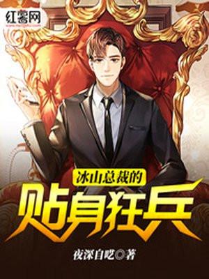 冰山总裁的贴身兵王百度百科