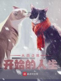 从四合院开启的完美人生顶点
