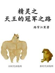 精灵之天王的冠军之路战力等级