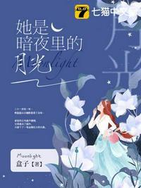 她是暗夜里的月光傅齐北