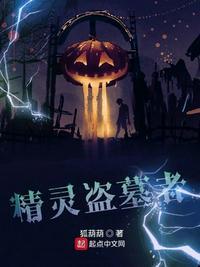 精灵盗墓者书阁