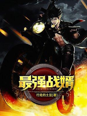 最强战婿林霄免费全文