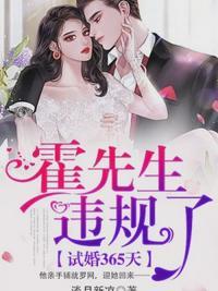 试婚