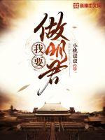 我要当明君作者王战将军