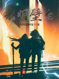 光明壁垒枭是谁