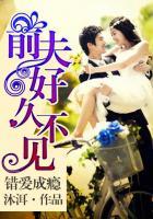 错爱前妻免费阅读全文