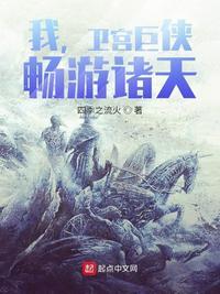 我卫宫巨侠三红弓兵