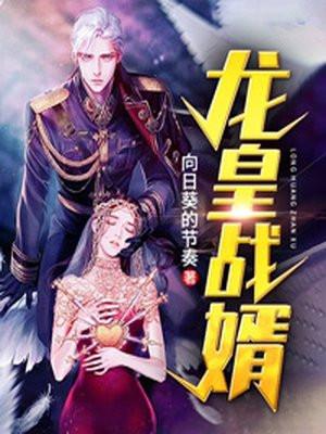 龙婿战尊免费阅读