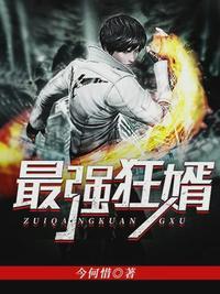 至尊强婿免费全文阅读笔趣阁