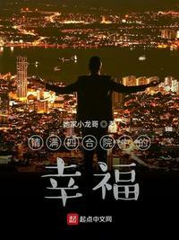 情满四合院电视剧