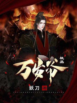 极品万岁爷几个女主