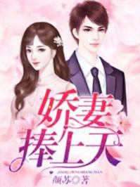 苏锦棠傅北尧全文免费