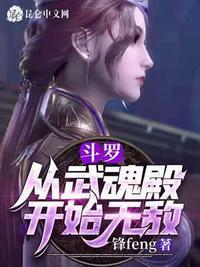 穿越从武魂殿