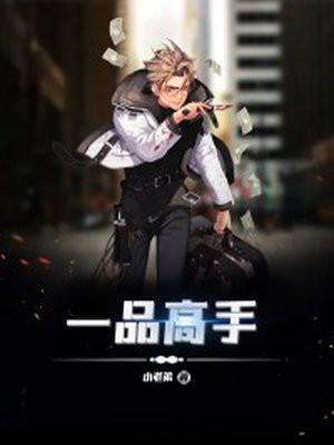 一品高手百度百科