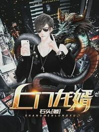 上门龙婿免费全文阅读林凡