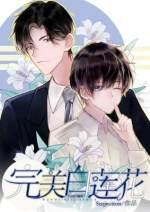 白莲花的自我修养