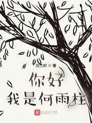 你好我是何雨柱最新章节免费阅读