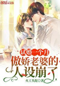 傲娇总裁的试婚新妻