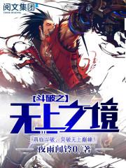斗破苍穹之无上之境阅读全文