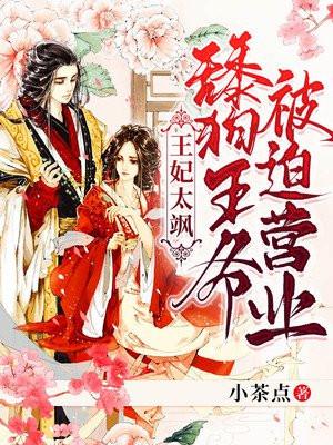 甜文王爷王妃