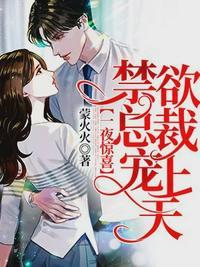 总裁宠妻超给力陌生桥