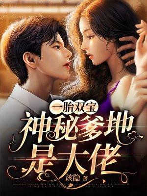 一胎两宝神秘爹地超给力