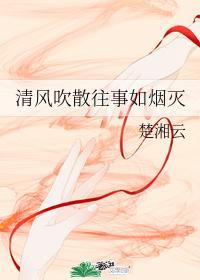 清风吹散往事如烟灭第3卷