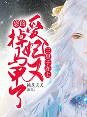 三皇子的