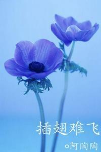 沈初云陆进七天七夜