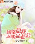 总裁娇宠小蛮妻