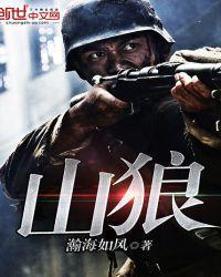 山狼海贼全文免费阅读