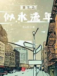 似水流年免费阅读齐磊全文