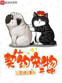 从契约宠物开始123读