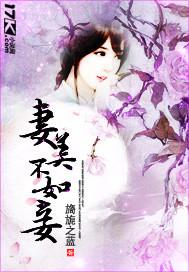妻不如妾全句
