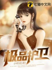 极品护卫陈