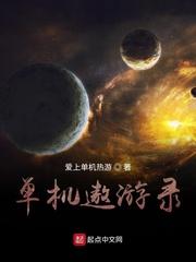 单机遨游录txt