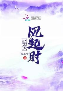暗笑风起时讲了什么