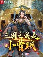 三国之我是曹操谋士