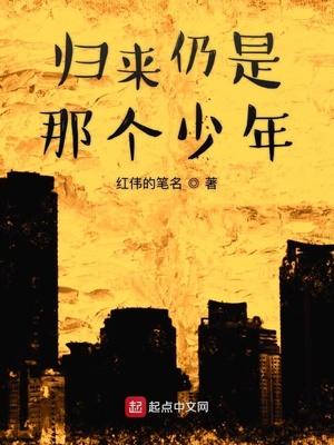 归来仍是少年的歌名
