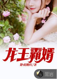 龙王霸婿 风青杨