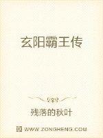 三国霸王传