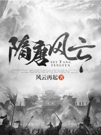 隋唐风云宣华夫人
