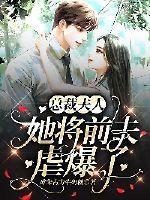 书名叫
