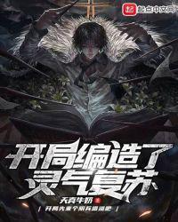 开局编造了灵气复苏评价