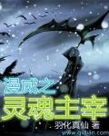 灵魂主宰者漫画