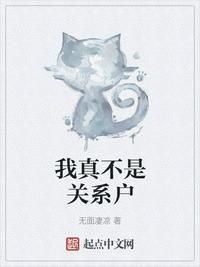 我真不是关系户晋江