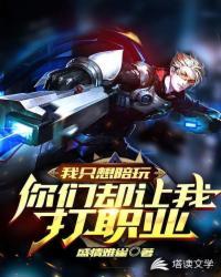 我只想安静的玩游戏