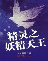 精灵之普通天王