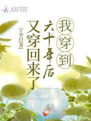 我穿到六十年后又穿回来了 美