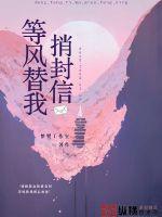 等风等于我等你的歌词